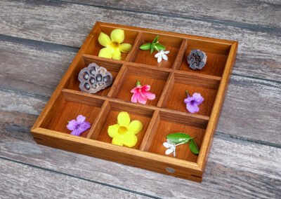 Box with Dividers for Four Seasons Samui